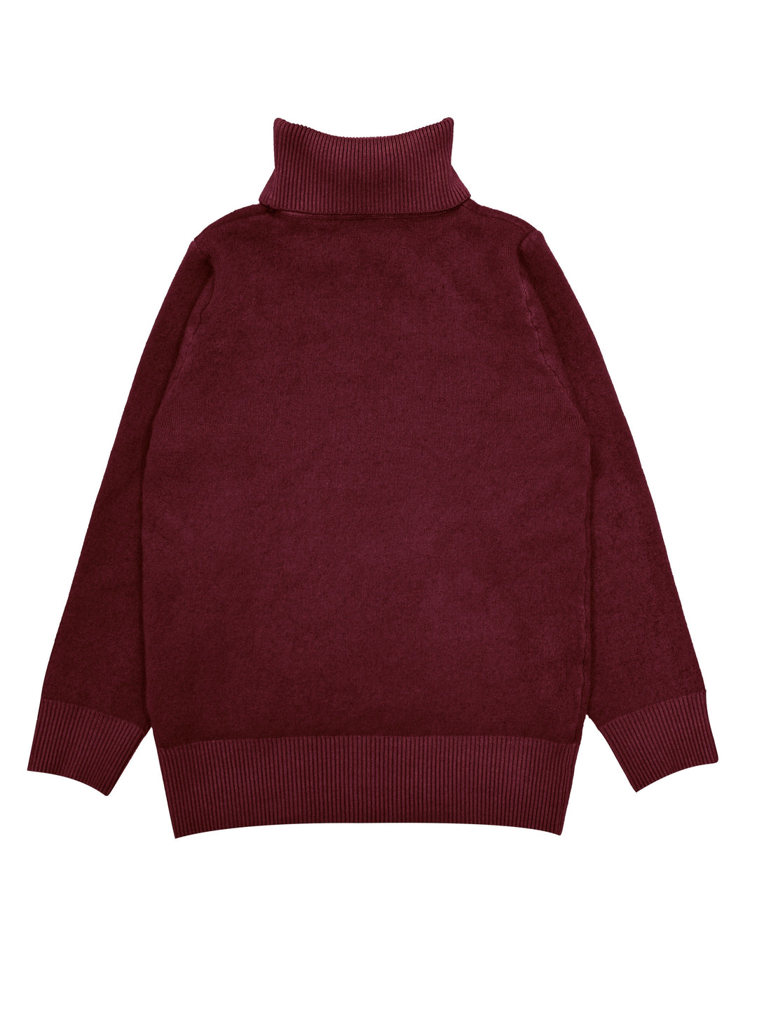 Selena | Cozy Lined High-Neck Jumper