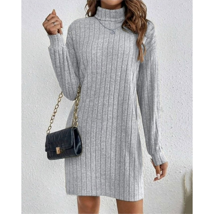 Cornelia | Ribbed Roll-Neck Dress