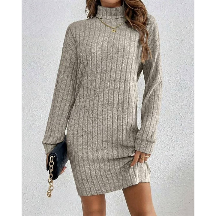 Cornelia | Ribbed Roll-Neck Dress