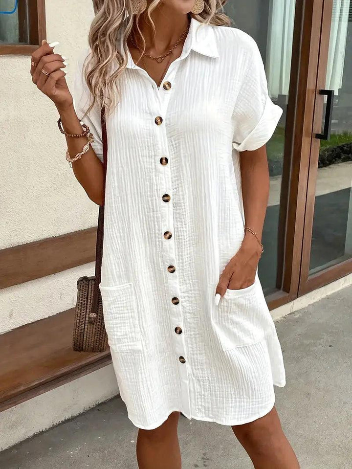 Michelle | Timeless V-Neck Blouse Dress