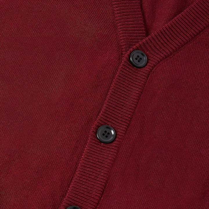 Leonard | Buttoned V-Neck Jumper Vest